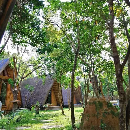 Balili Farm At Nacpan-3